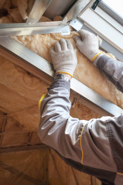 Trusted DE Insulation Contractor Experts